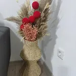 Apartman Ticina