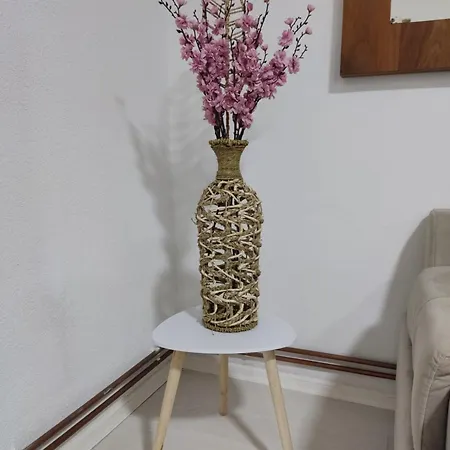 公寓 Ticina 塞拉耶佛