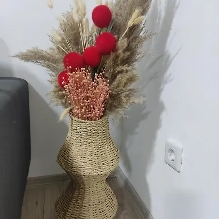 Apartman Ticina