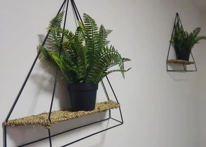 Ticina サラエヴォ